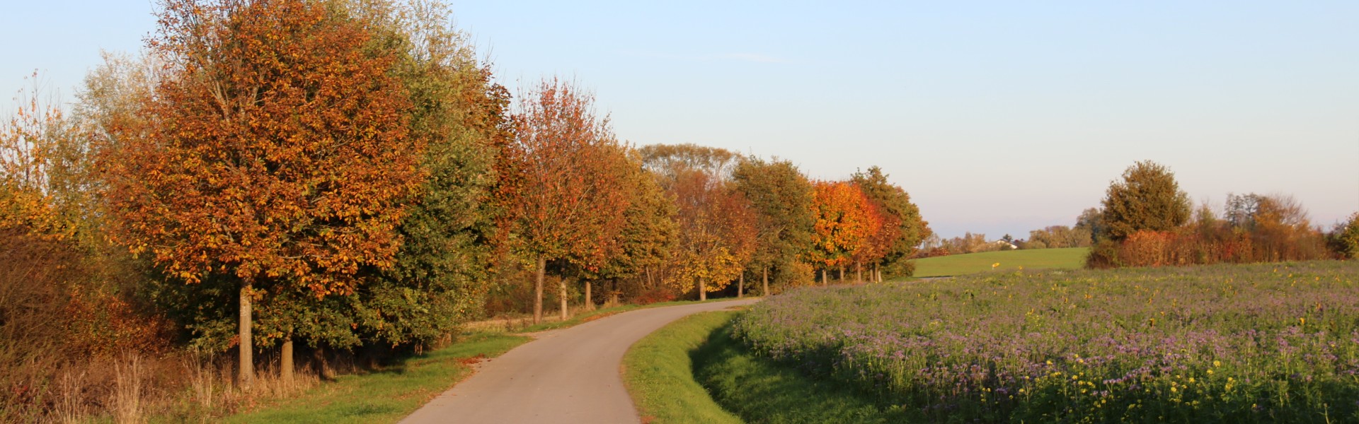 Header Radweg Herbst