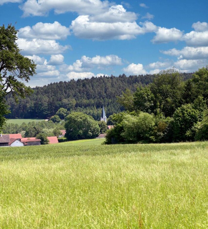 Grossansicht in neuem Fenster: Ökologische Kleinode im Gemeindegebiet Roßbach